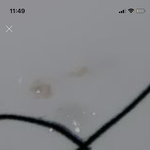 [NCT즌] 나 <b>새싹</b>즈니인데 한번만 도와줘ㅠㅠ나 울고싶어