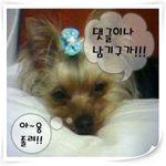 ㅑㅇ나 짝<b>남</b>이 사귀쟤 앳ㅂㄹ ㅇ아니 <b>눈</b>무ㅇ나