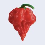 [NCT즌] <b>We</b> Cucumber