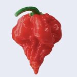 [NCT즌] 누가 이거보고