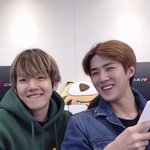 울 앙글이랑 <b>삐약이</b>
