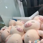 [댓글부탁해] 인터넷에서 안경테 주문해본애들 들어와바