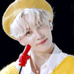 [세븐틴] 정한이가 <b>비혼</b>주의이길 바래..