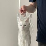 일케 하면 개말라 ㄱㄴ?