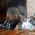 [19] 얘들아 옾챗 <b>1</b>대<b>1</b> 대화에서