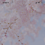 [NCT즌] ㅆㅂ 이해찬 버블 <b>프로필</b> 바꿈
