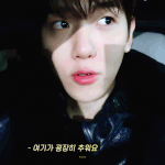 <b>백현</b>이나 보고싶다