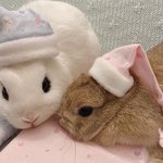 [조언부탁해] 얘들아 이거 도대체 어떻게 고쳐야할까