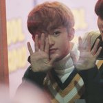 [NCT즌] 간간히 올라오는 드립 <b>덕분</b>에 웃는다..