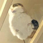 국제시장 ㅈㄴ 슿프다 진짜