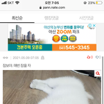 백설기빌런 ㅈㄴ무서움