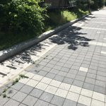 오늘 <b>날씨</b> <b>개</b>좋애