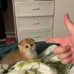 [댓글부탁해] 렌즈 1일만 세척안하고 껴도 ㄱㅊ아...?