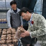 <b>버섯</b> 살펴보는 조환섭 롯데백화점 전주점장