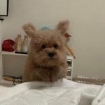 [댓글부탁해] <b>isfp</b>들어와봐 제발