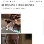 <b>일베</b><b>새끼들</b>이 그렇지 뭐