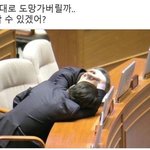 밥 먹다가 <b>바퀴</b>벌레 나왔는데