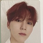 [세븐틴] ㅅㄷ 진짜 포카때문에 미치겠어