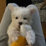 [NCT즌] 얘 대가리아님?