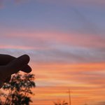 내 전본진 팬덤<b>분열</b> 지럈음 ㄹㅇ