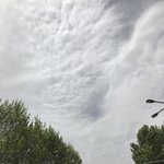 아니 ㅅㅂ 친구한테 어케 꼽줌