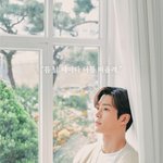 로운 향수 모델 <b>개찰</b>떡이네