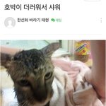 [TXT] <b>아씨</b> 이게뭐람 ㅋㅋㅋㅋㅋㅋㅋㅋ
