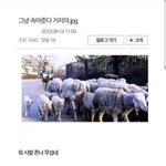 [19] 영어쌤들은 <b>팝송</b> 들으시면