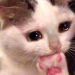 [진격의거인] 나만 에루리 <b>지뢰</b>냐