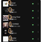 엑소 <b>스</b><b>엠</b> 저격