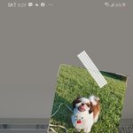 [세븐틴] 일코용 배경 만들어봄