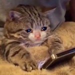 [골든차일드] <b>성윤</b>이 오늘 맛난거 먹어