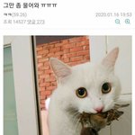 좋아하는 아이돌 과사 카톡 <b>배사</b>해놓는게