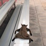 [드루와] 에스파 스며든다