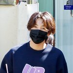 요즘 <b>노아</b>가 너무 좋아..