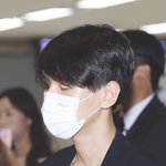 아니 야 엓엘들아