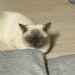 내 동생 자퇴한다는데 어케 <b>설득</b>하지