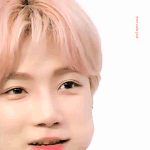 아니 <b>덥즈</b> 뉴 차니 눈썹 이게 가능해?!
