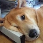 [19] <b>눈썹</b>문신 한 애들 있니