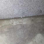 [댓글부탁해] 이거 <b>혈흔</b>흔적아닌가요...?뭔가요ㅠㅠ