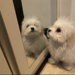 [NCT즌] 안<b>더원</b> 와슟원왓츄원아야양