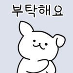 [드루와] 확실히 막내가 애교많고 귀엽긴 함 ㅋㅋㅋ