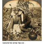 자기가 느끼는게 곧 진실인줄 아는애들