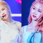 <b>지호</b>랑 로제 닮지 않았냐