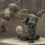 한남들 <b>gs</b>불매로 폐기나온거봐ㅋㅋ