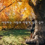 [꼭봐주세요] 사랑하는 사람과 이렇게 살고 싶다~