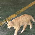30살까지 10억 벌 수 있을까