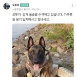[댓글부탁해] 한강 대학생 구<b>조사</b>님
