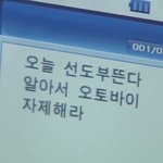 [드루와] 나 눈썹 어떡해