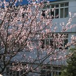 <b>학교행사</b> 하고싶다..